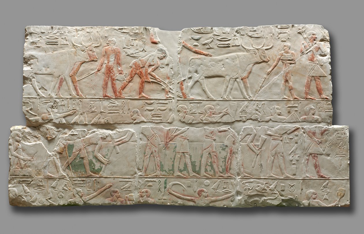 Relief scen rolniczych, ok. godz. 2311-2281. autorstwa Unbekannt