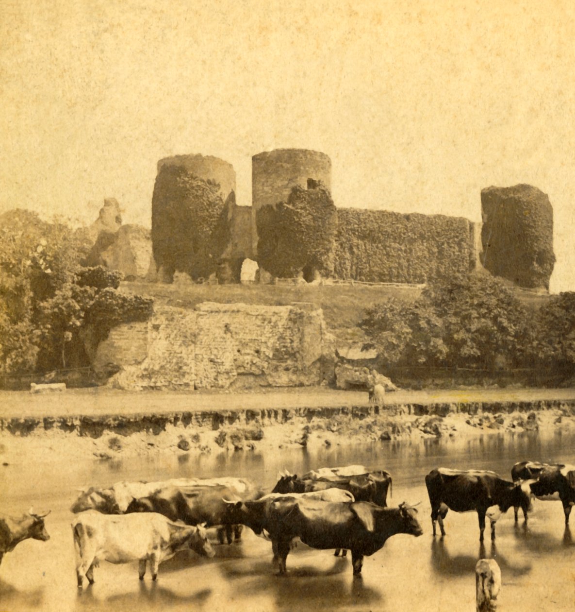 Rhuddlan - Zamek od strony rzeki, ok. 1900. autorstwa Unbekannt