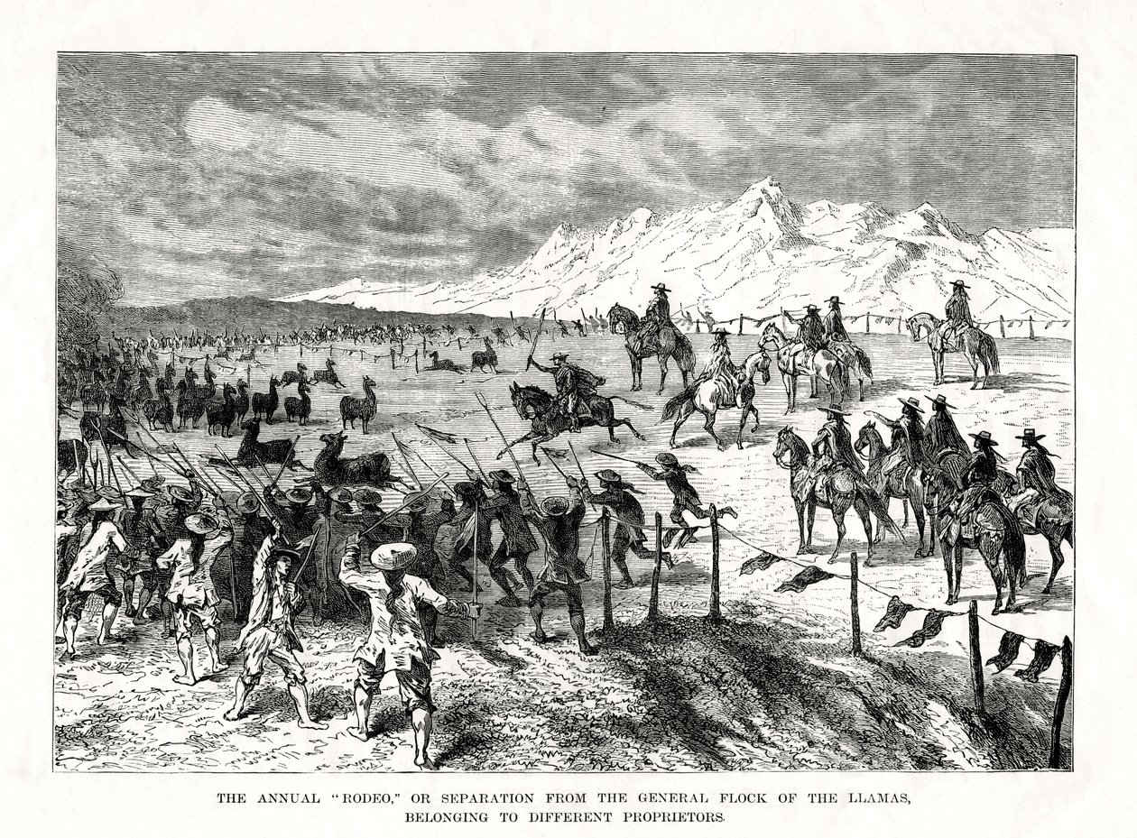 Rodeo, Ameryka Południowa, 1877 r. autorstwa Unbekannt