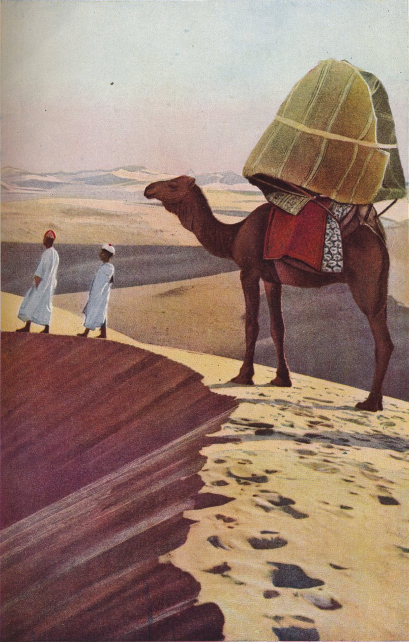 Sahara, ok. 1930 autorstwa Unbekannt