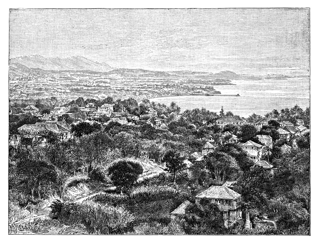 Wyspa Santa Cruz, c1890 autorstwa Unbekannt