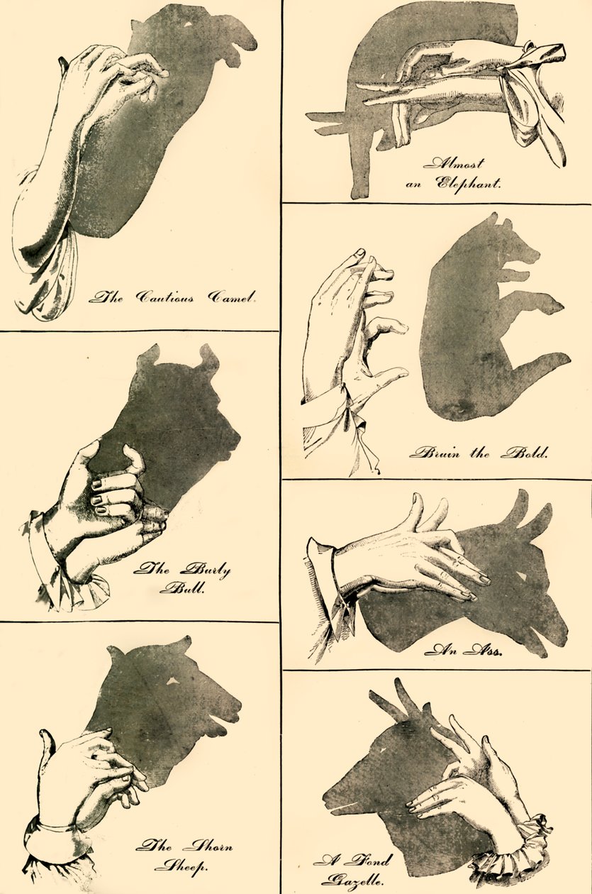 Cienie i sylwetki, 1883. autorstwa Unbekannt
