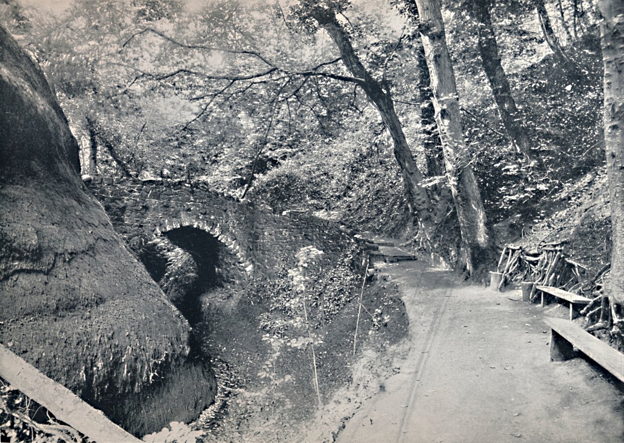 Shanklin - Chińczyk, 1895 autorstwa Unbekannt