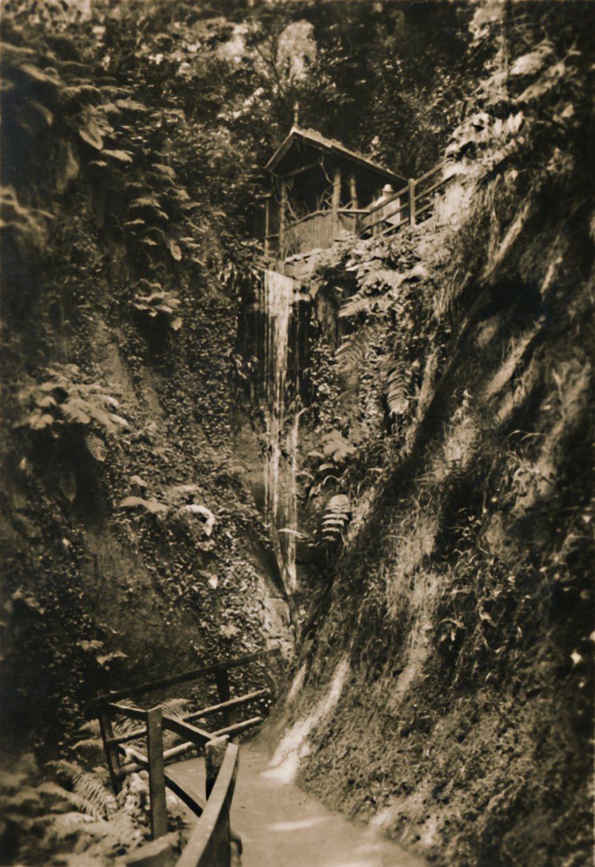 Shanklin Chine, I.W., c1920. autorstwa Unbekannt