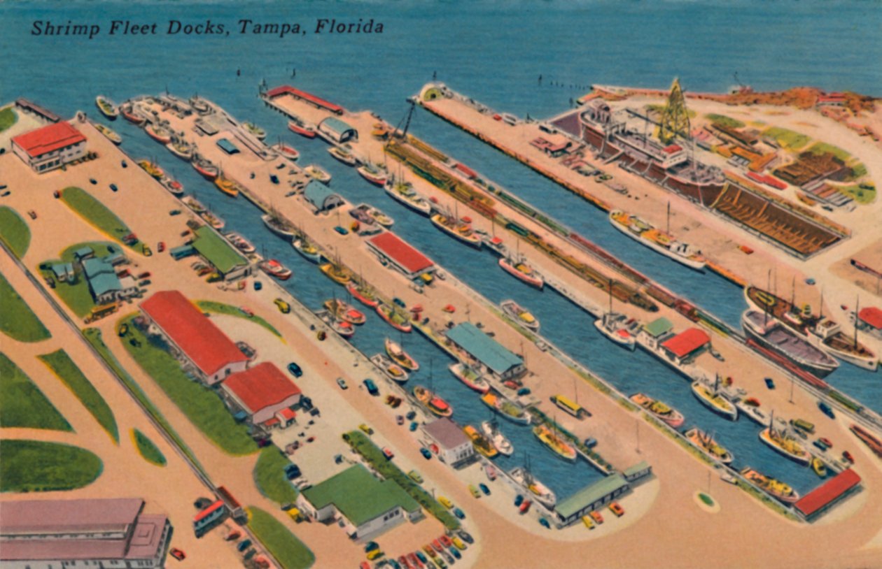 Shrimp Fleet Docks, Tampa, Floryda, lata 40. autorstwa Unbekannt