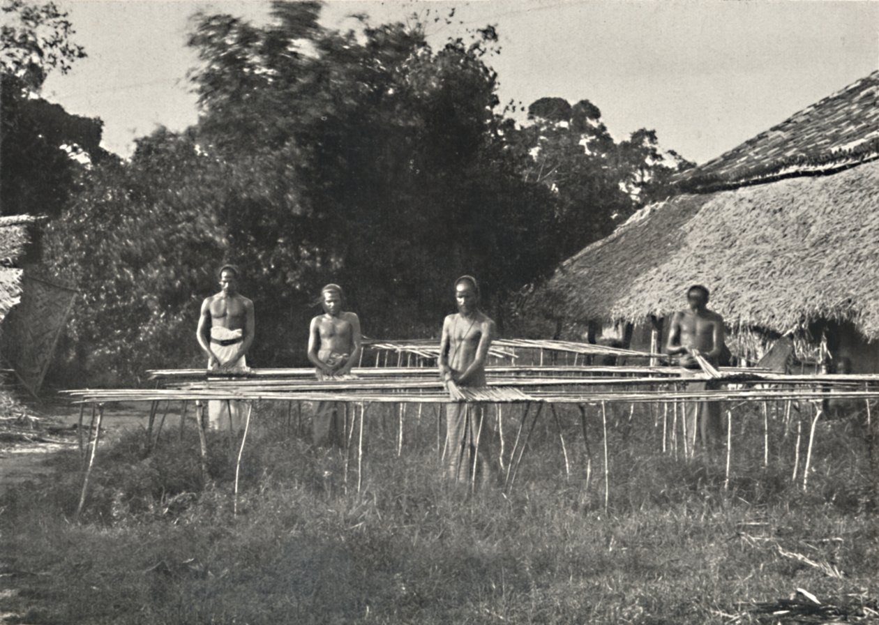 Syngalescy robotnicy cynamonu przy pracy, 1926 autorstwa Unbekannt