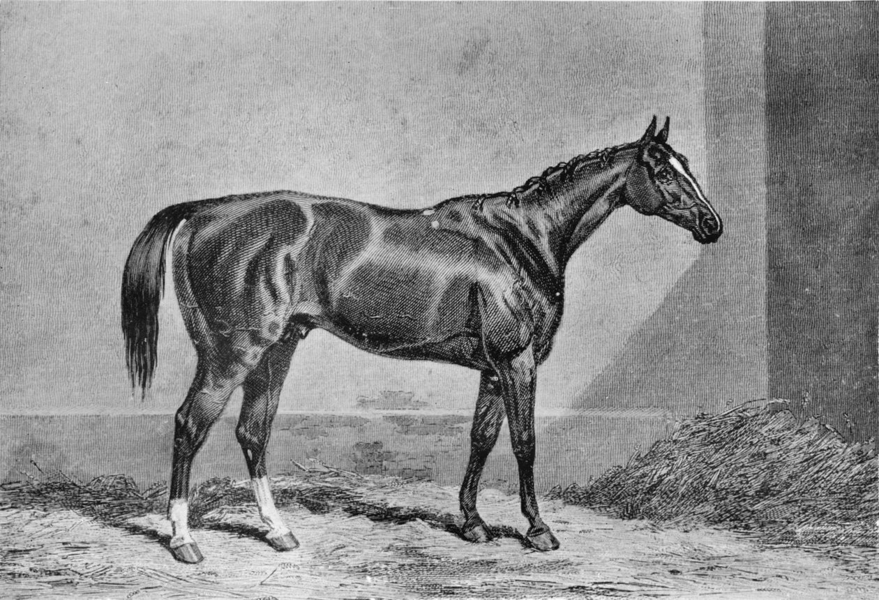 Stockwell, 1849-1871, 1911 autorstwa Unbekannt