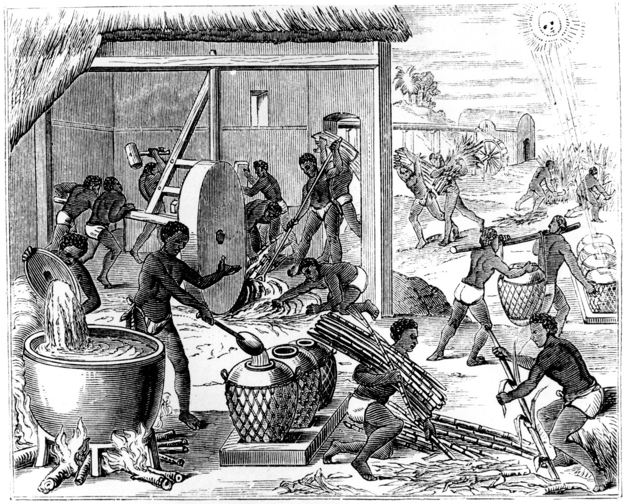 Produkcja cukru, 1873 autorstwa Unbekannt