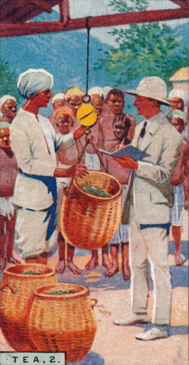 Herbata, 2. - Ważenie plonów, Cejlon, 1928 autorstwa Unbekannt