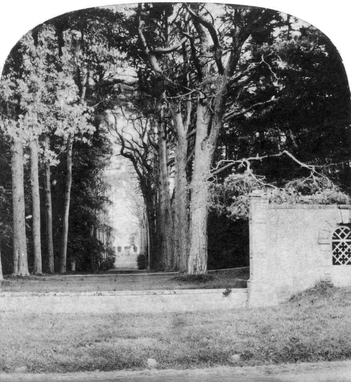 The Avenue, Guys Cliff, Warwick, początek XX wieku autorstwa Unbekannt