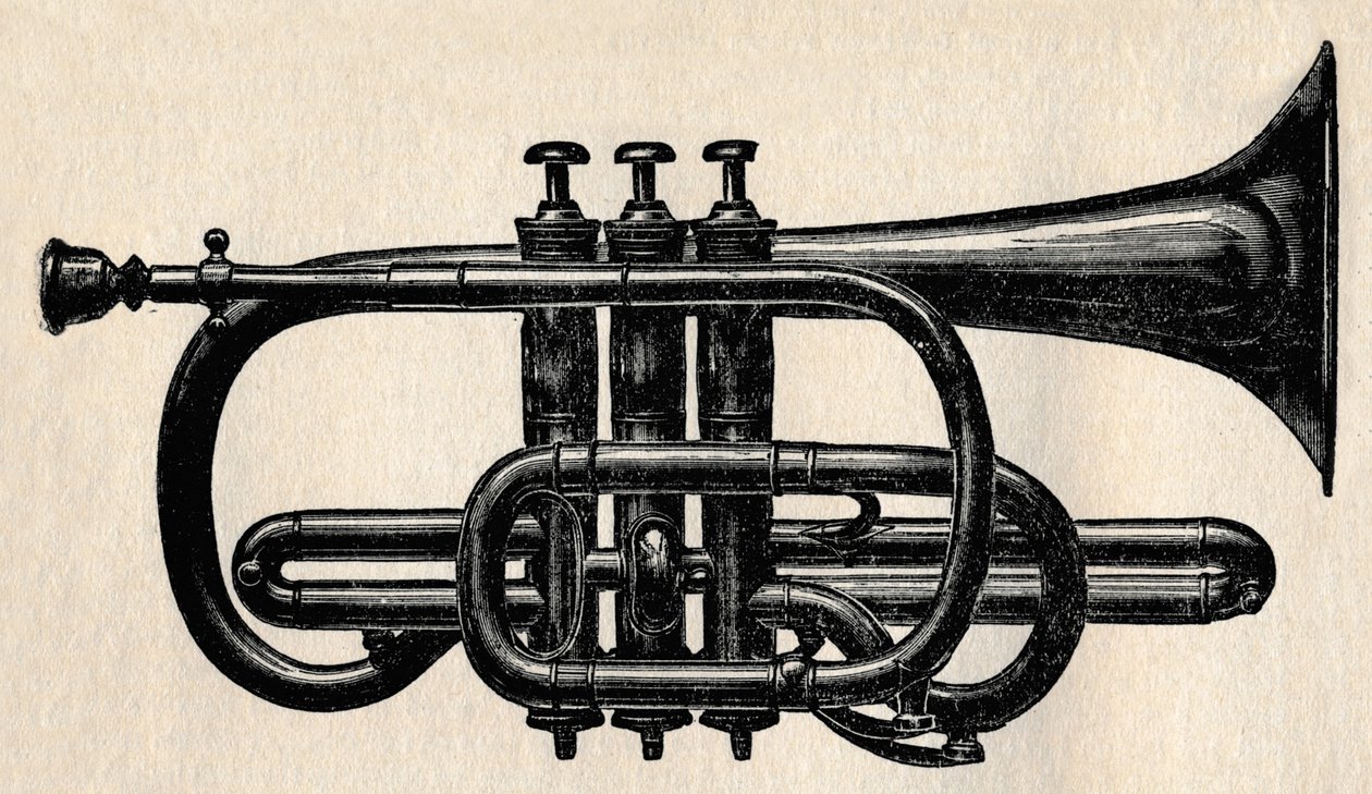 Kornet, 1910. autorstwa Unbekannt