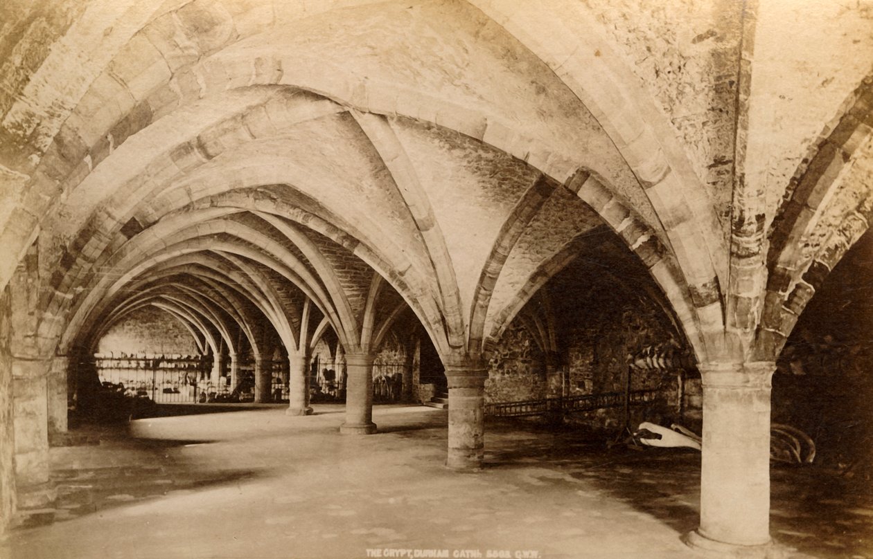 Krypta, Katedra w Durham, 1893. autorstwa Unbekannt