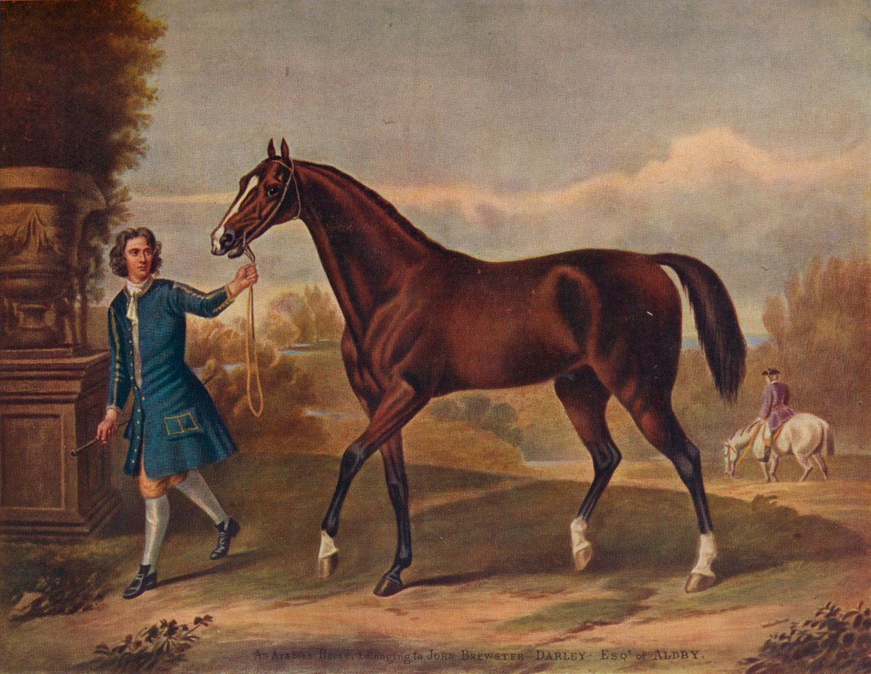 Arabian Darley, c1720, 1922 autorstwa Unbekannt