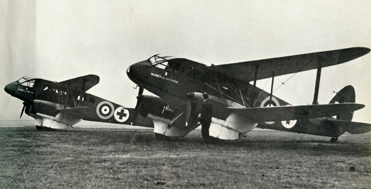 Pogotowie ratunkowe De Havilland, 1941. autorstwa Unbekannt