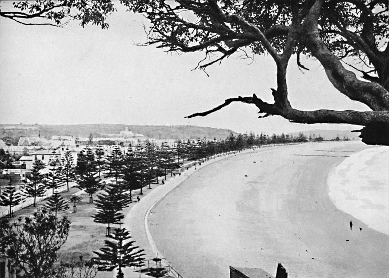 Esplanade, Manly Beach, ok. 1900. autorstwa Unbekannt