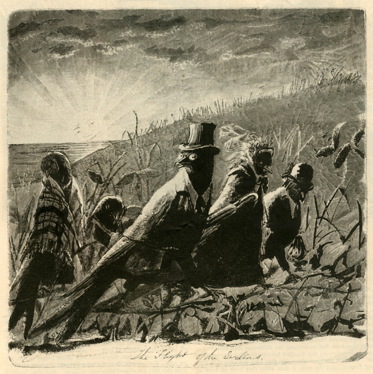 Lot jaskółek, 1882. autorstwa Unbekannt