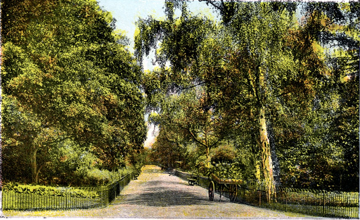 The Flower Walk, Kensington Gardens, Londyn, XX wiek autorstwa Unbekannt
