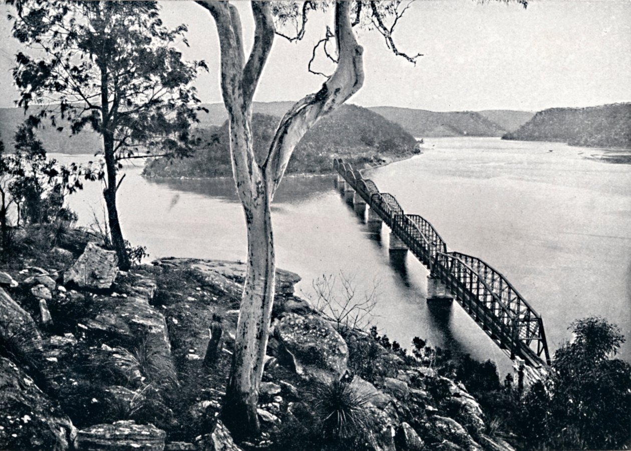 Rzeka i most Hawkesbury, ok. 1900. autorstwa Unbekannt