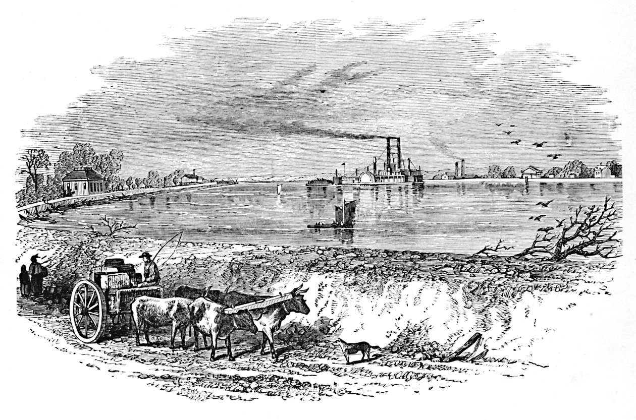 Wał, 1883 autorstwa Unbekannt