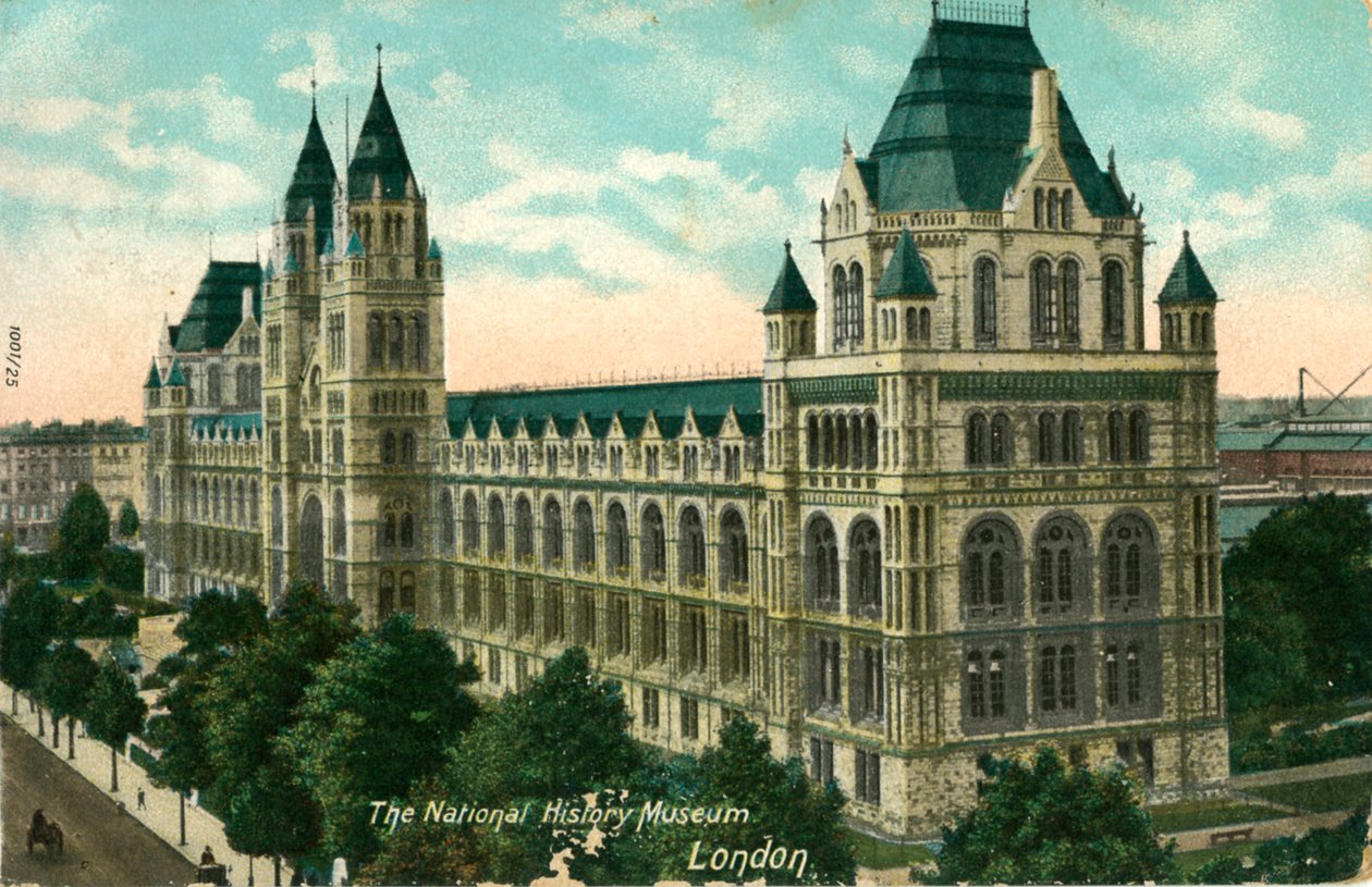 Narodowe Muzeum Historyczne, Londyn, ok. 1910. autorstwa Unbekannt