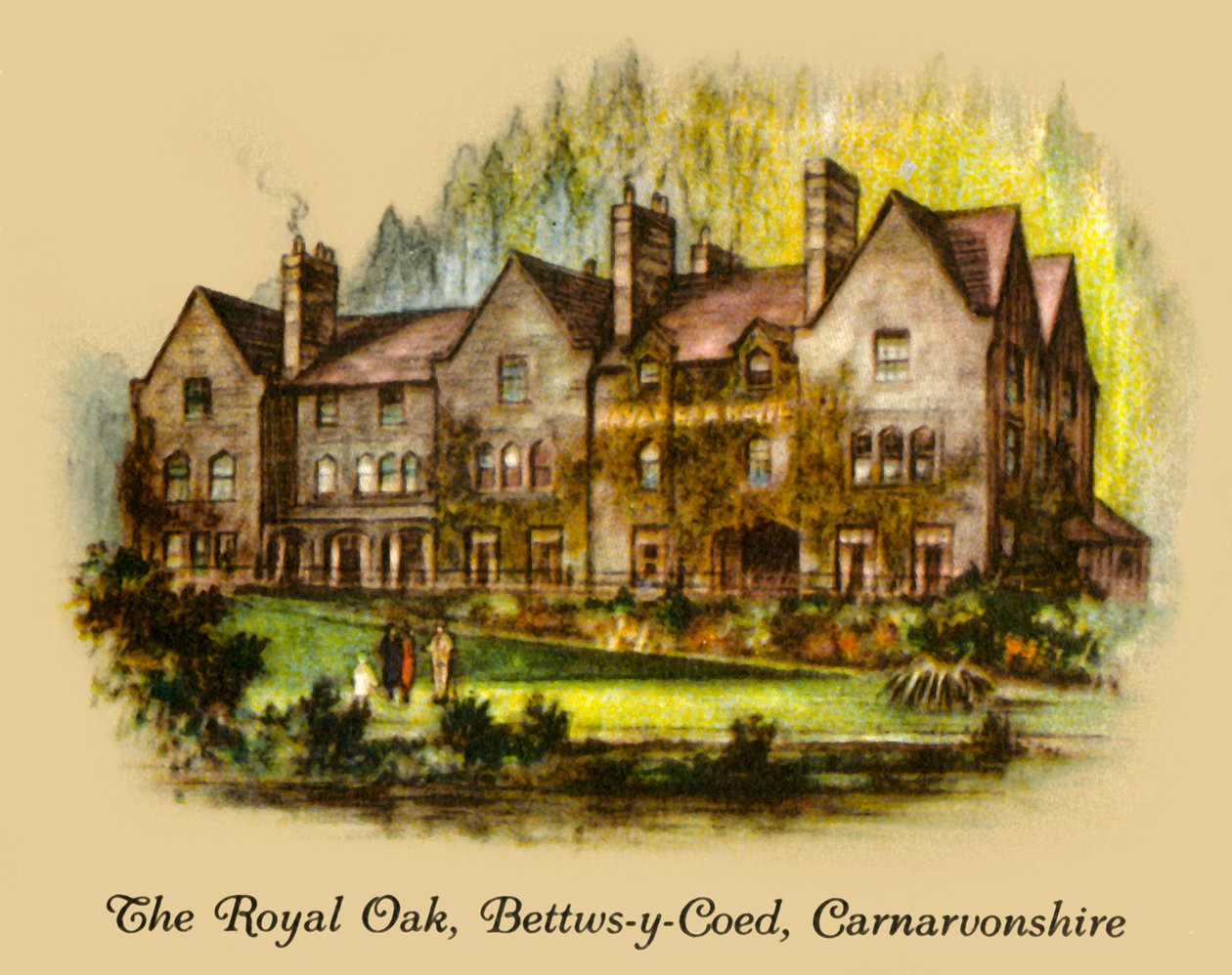 Dąb Królewski, Bettws-y-Coed, Carnavonshire, 1936. autorstwa Unbekannt