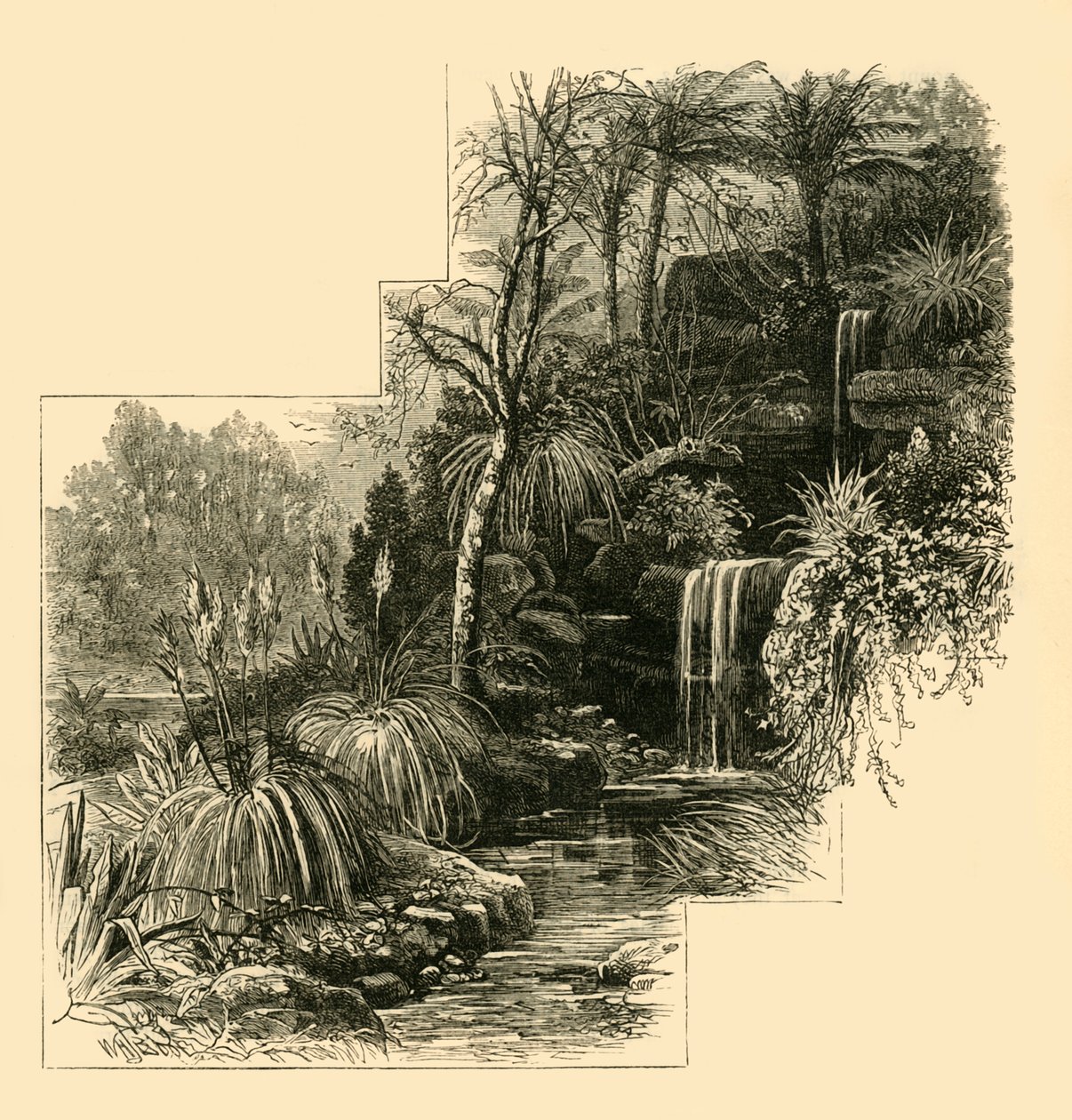 Ogrody Tropikalne, Park Battersea, ok. 1878 r. autorstwa Unbekannt