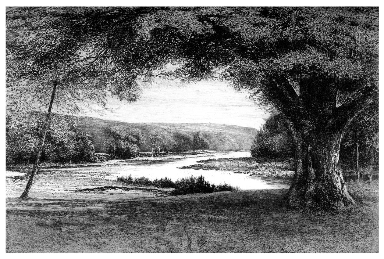 Dolina Avoca, 1895 autorstwa Unbekannt