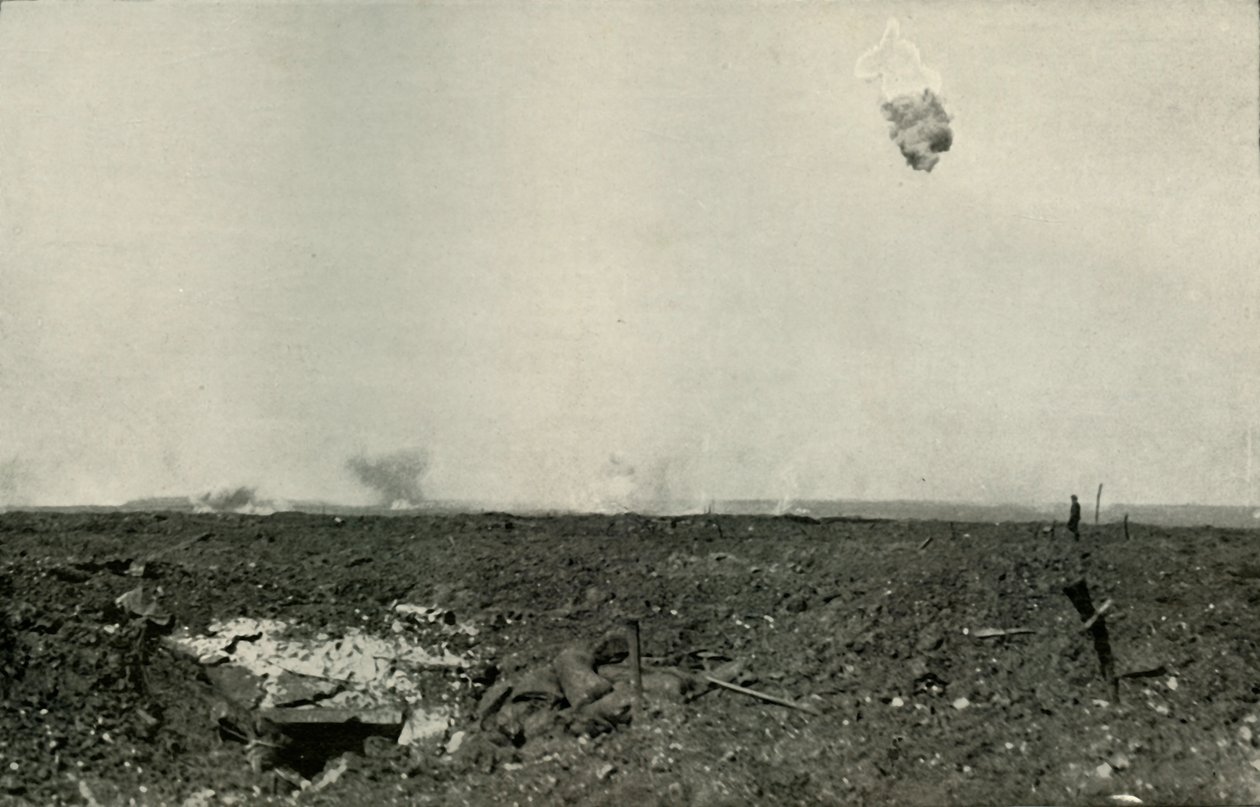 Niedźwiedź włochaty, 1919. autorstwa Unbekannt
