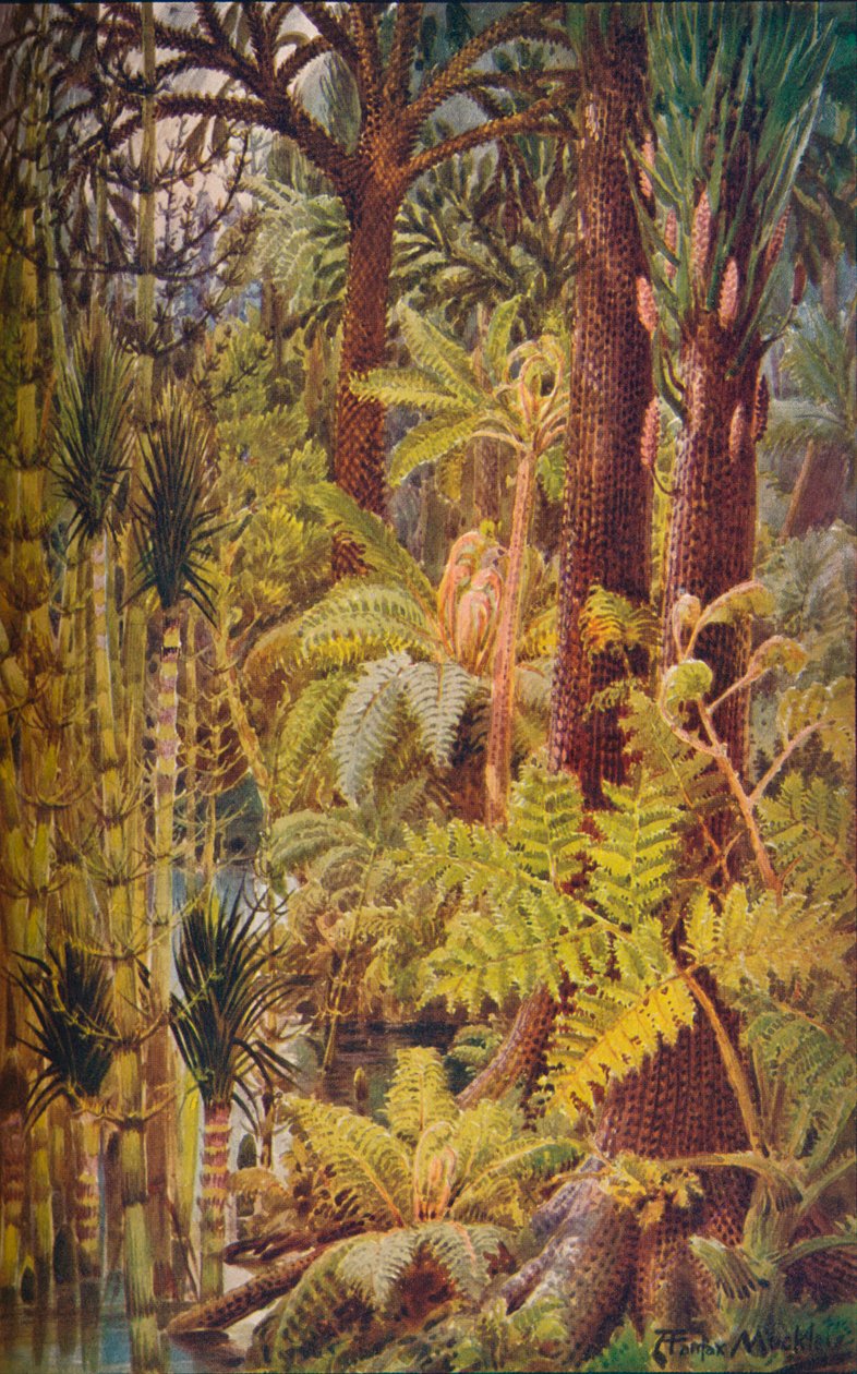 Gigantyczna roślinność epoki karbonu, 1907. autorstwa Unbekannt