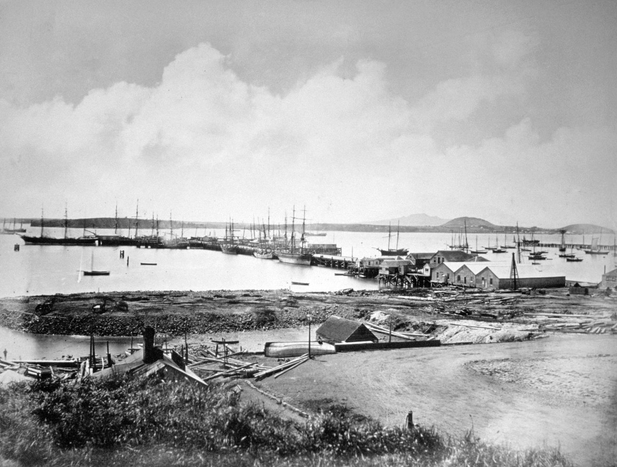 Port, Auckland, Nowa Zelandia, c1870-1880 autorstwa Unbekannt