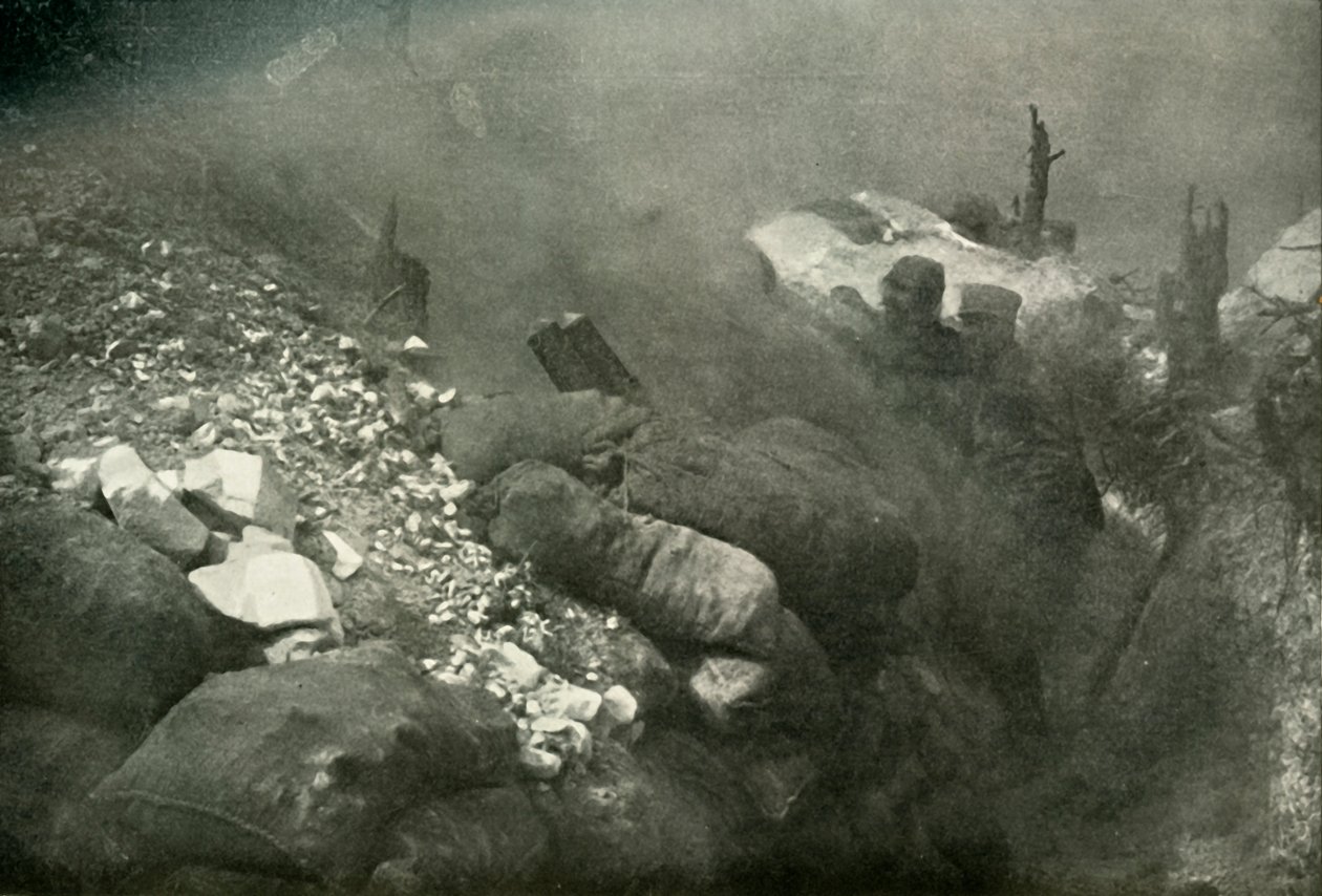 Wojna w okopach w Argonnie, 1919. autorstwa Unbekannt