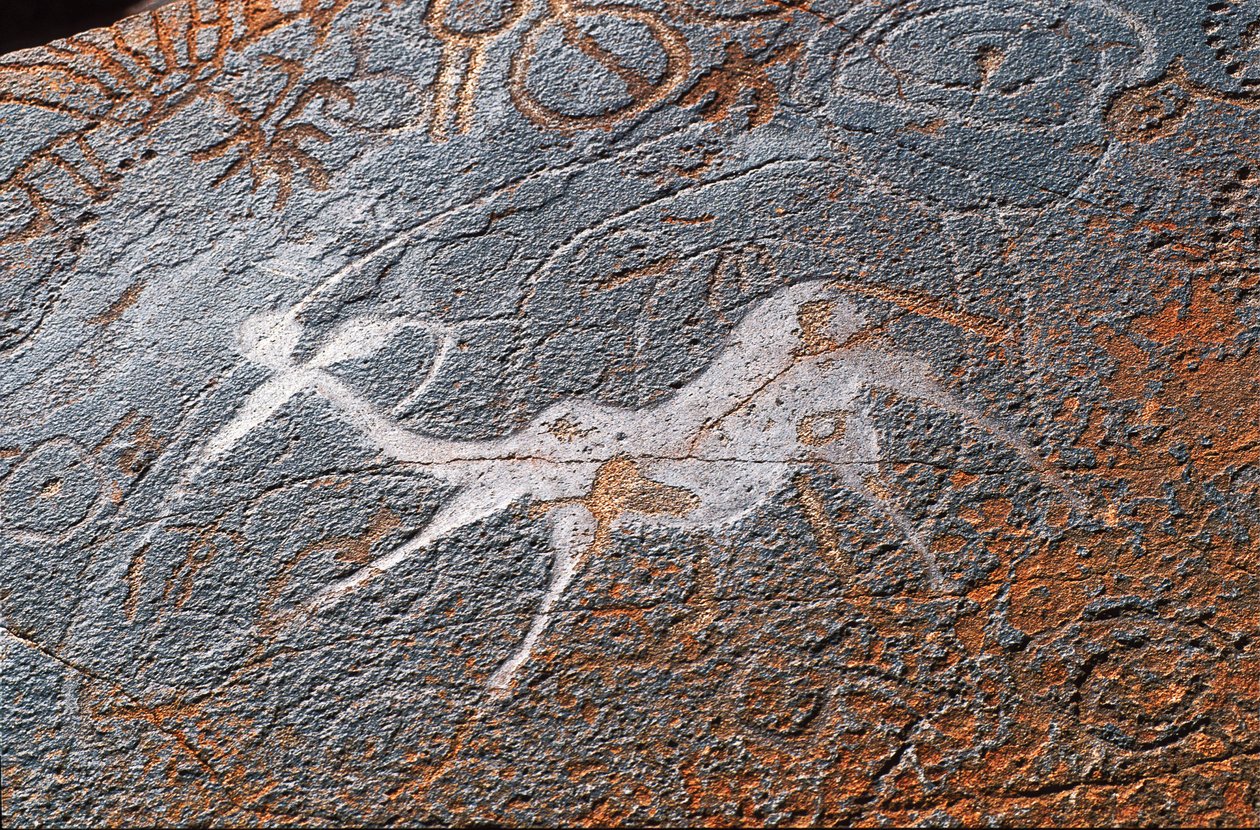 Malowidła naskalne Twyfelfontein, DAMARALAND, NAMIBIA autorstwa Unbekannt