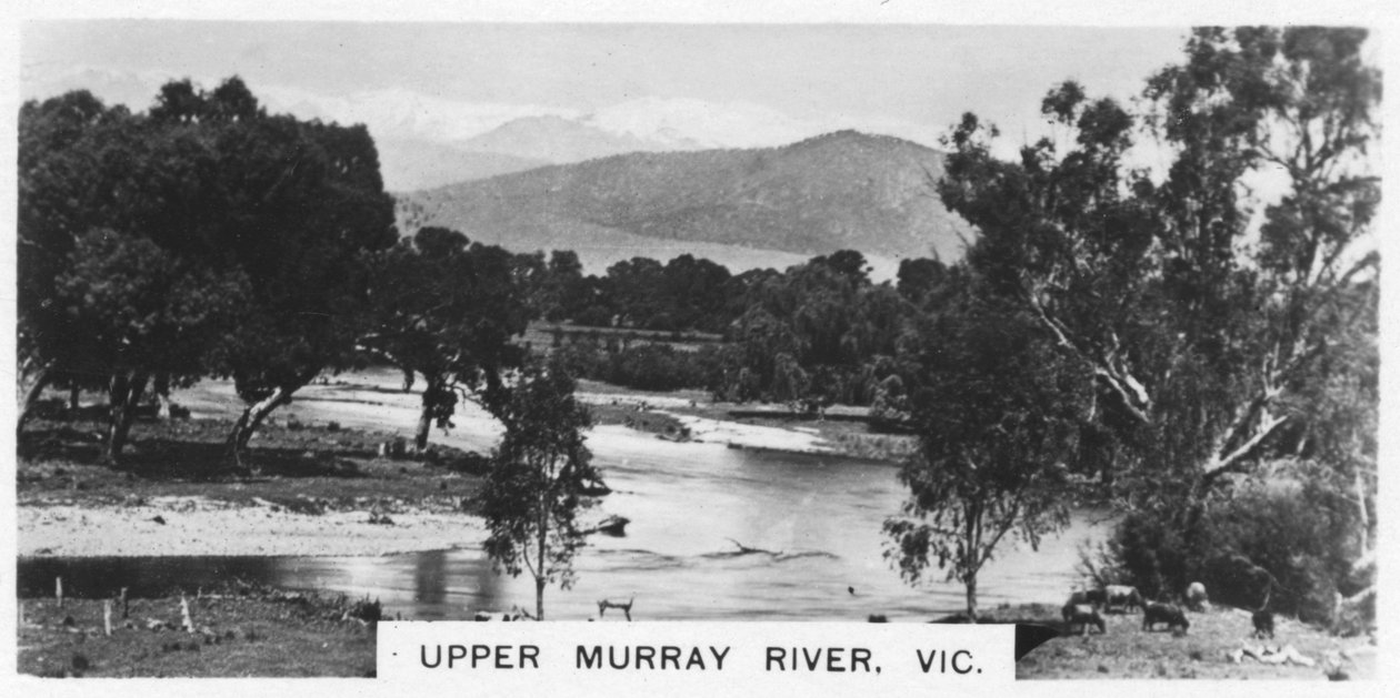 Górna rzeka Murray, Wiktoria, Australia, 1928 autorstwa Unbekannt