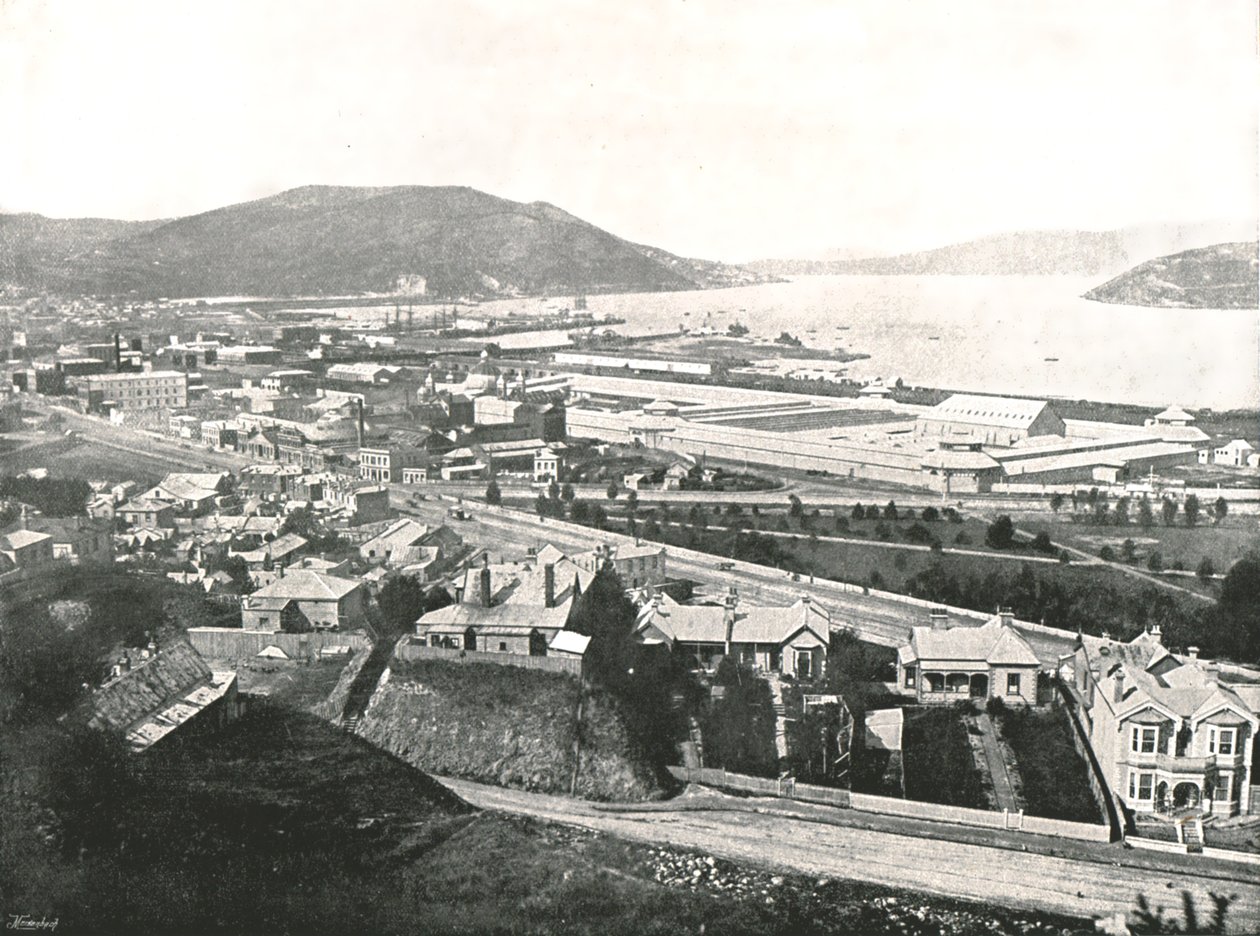 Widok z Maitland Street, Dunedin, Nowa Zelandia, 1895. autorstwa Unbekannt