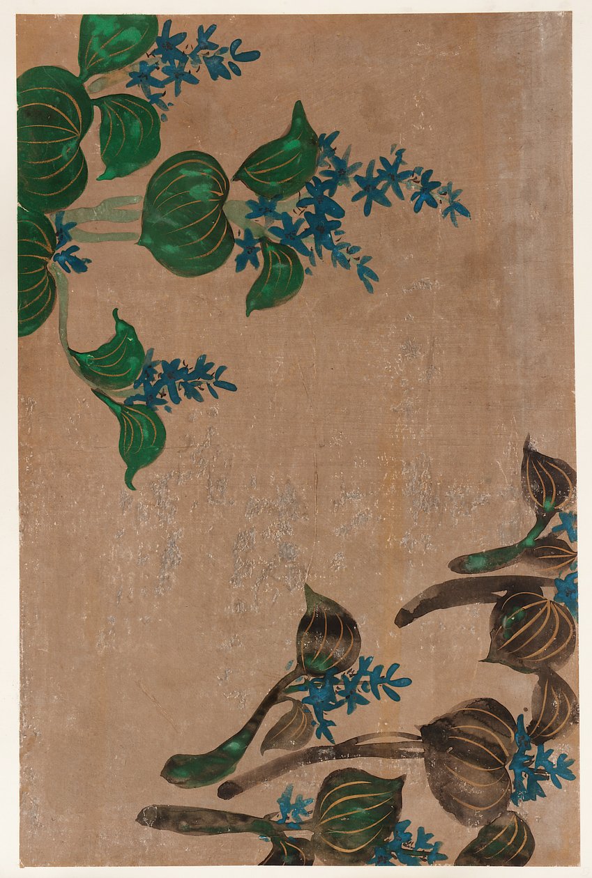 Rośliny wodne o niebieskich kwiatach, okres Edo, 1615-1868. autorstwa Unbekannt