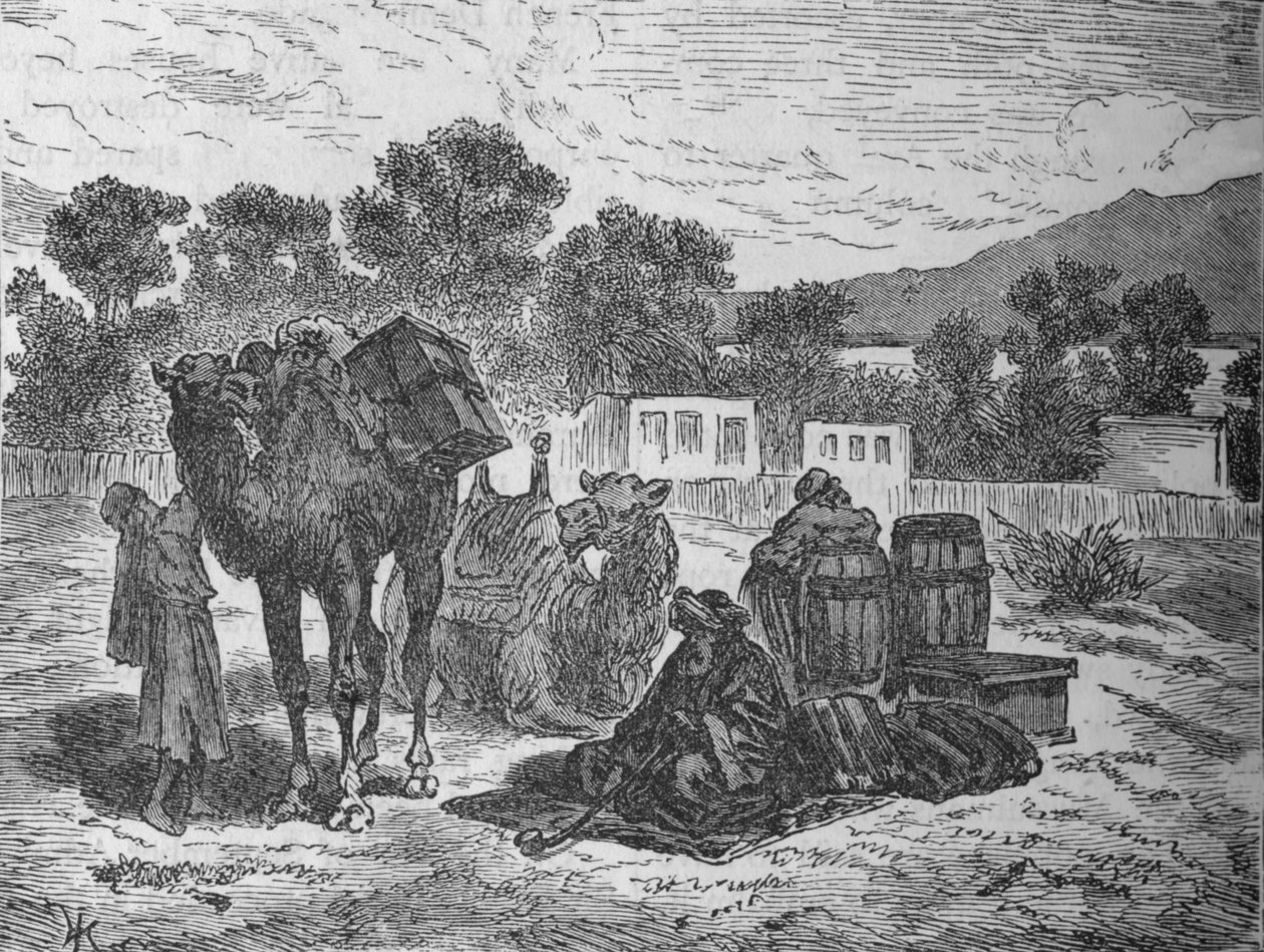 Studnie Mojżesza, niedaleko Suezu, ok. 1882 r. autorstwa Unbekannt