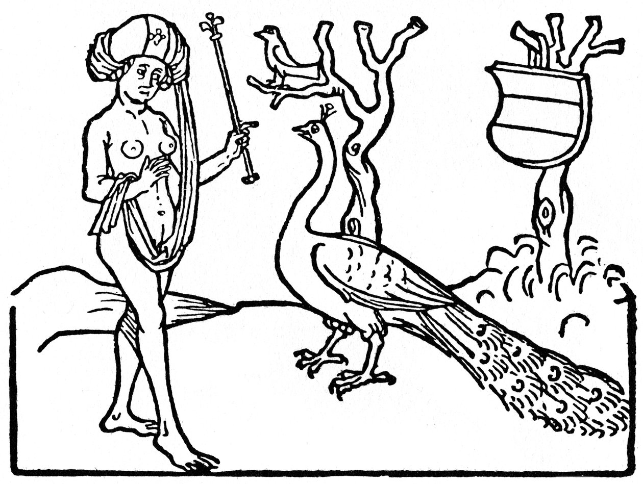 Kobieta i paw, 1475 1964. autorstwa Unbekannt