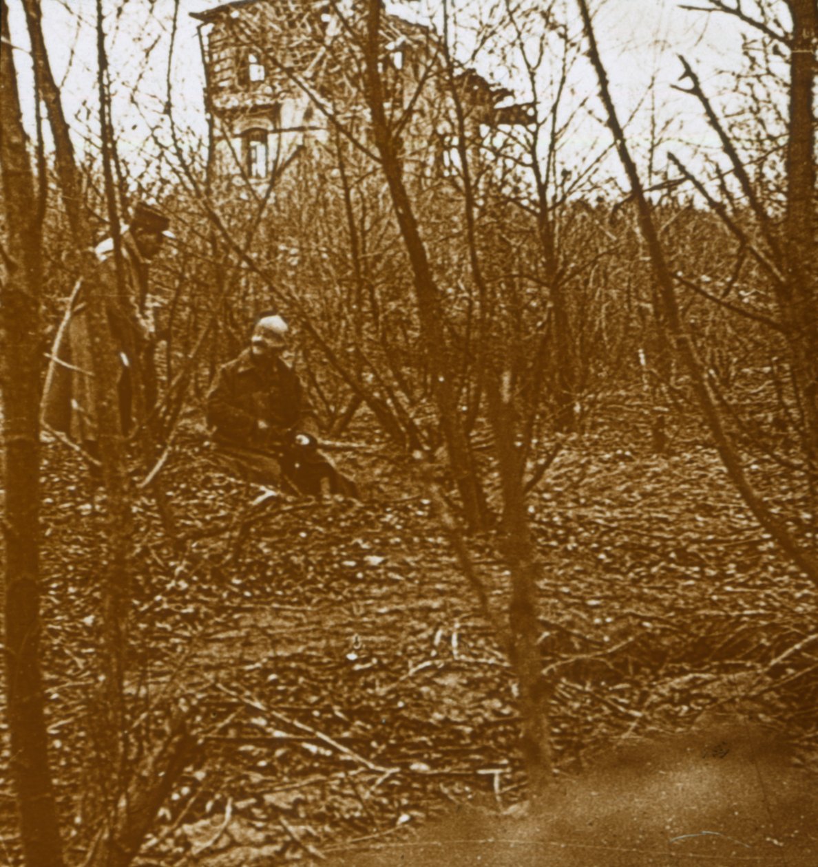 Drewno, c1914-c1918 autorstwa Unbekannt