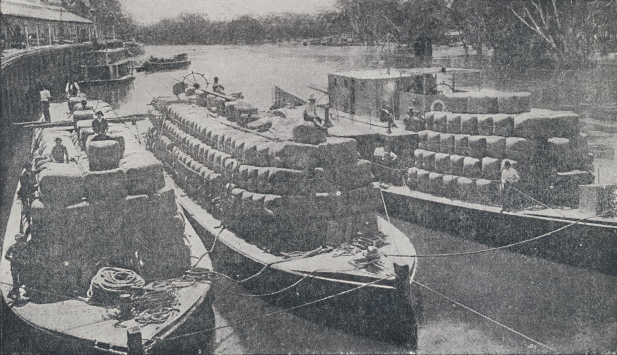Barki wełniane na rzece Murray, 1923. autorstwa Unbekannt