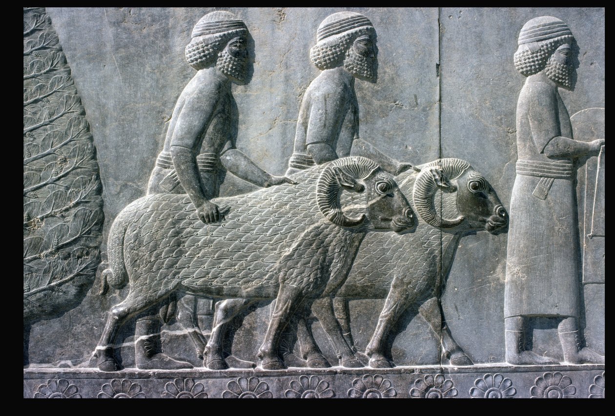 Fragment reliefowego fryzu na wschodnich schodach do Apadana autorstwa Unbekannt Unbekannt