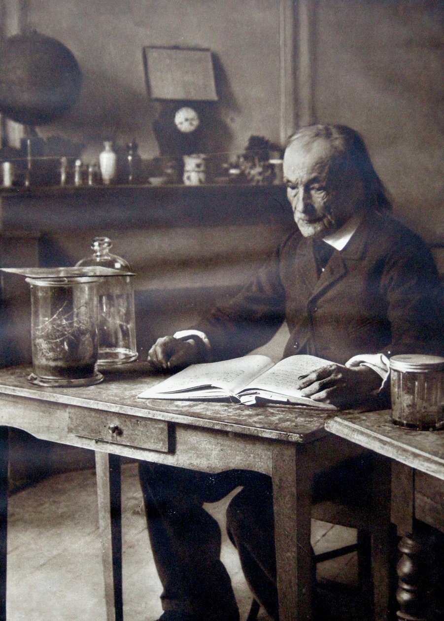 Jean-Henri Fabre, 1913 autorstwa Unbekannt Unbekannt