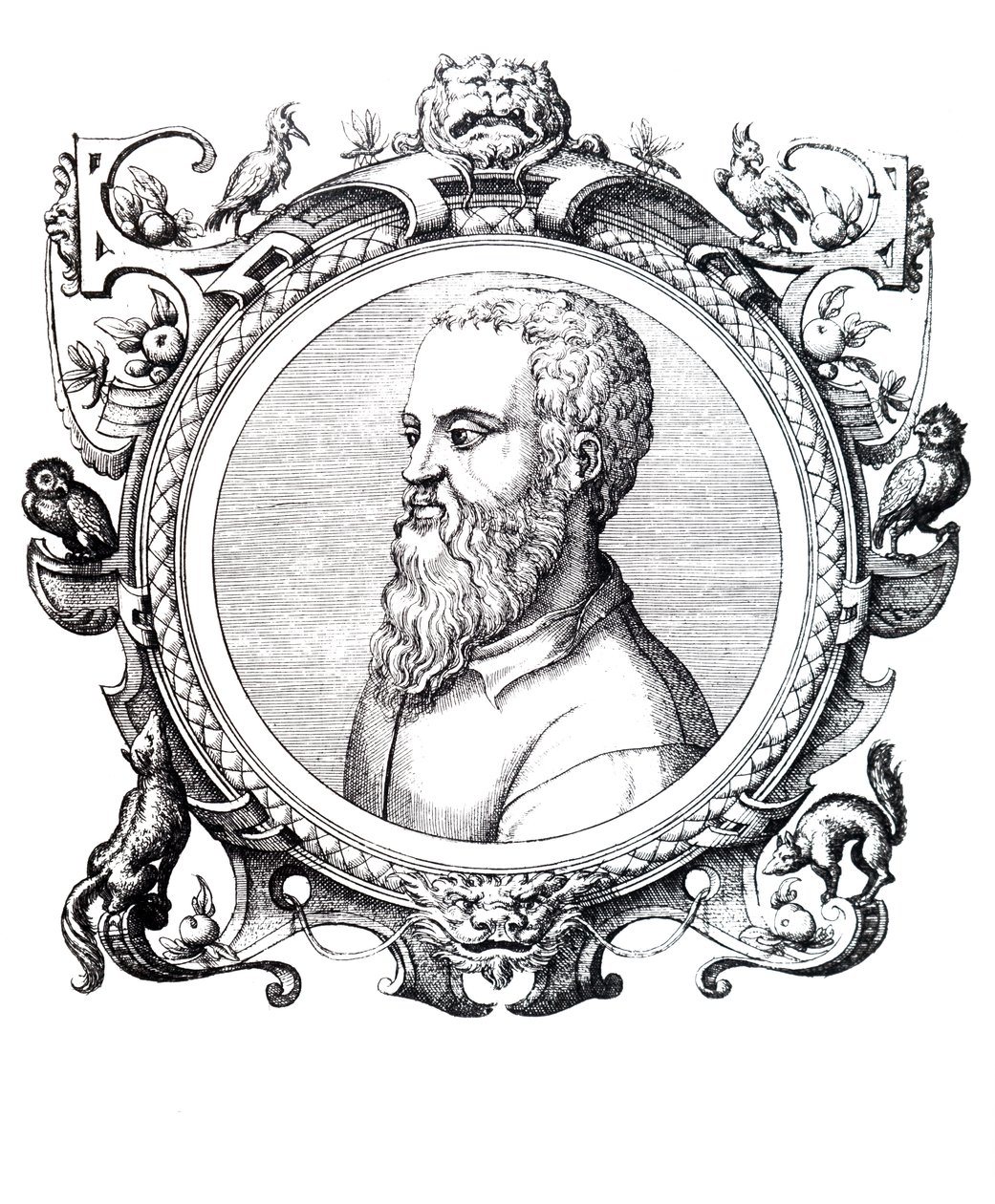 Guillaume Rondelet. autorstwa Unbekannt