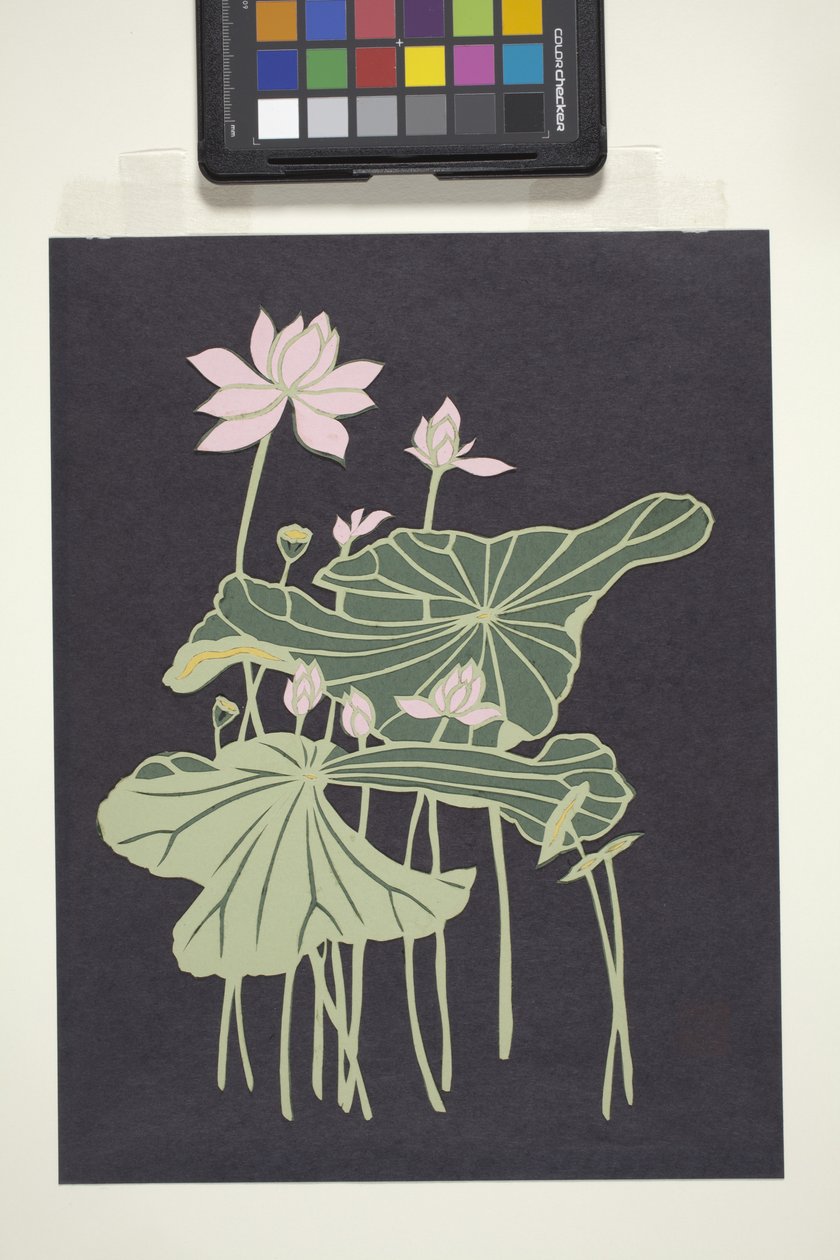 Lotus (wielokolorowy papier cięty) autorstwa Unbekannter Künstler
