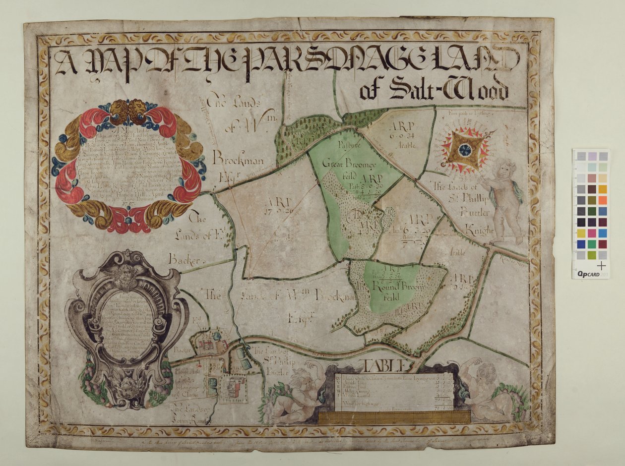 Mapa plebanii Saltwood autorstwa Alec Hunter