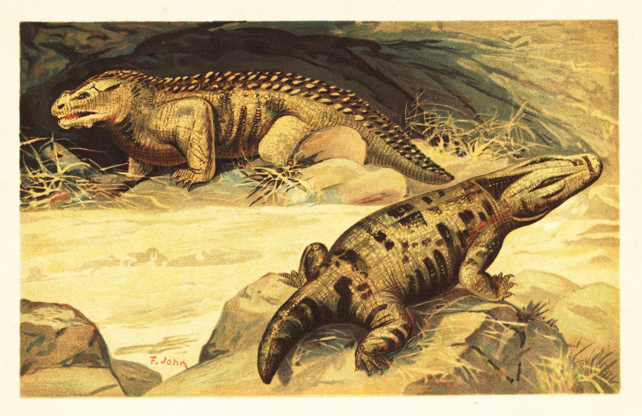 Mastodonsaurus i Pareiasaurus.1908 (litografia) autorstwa Unbekannter Künstler