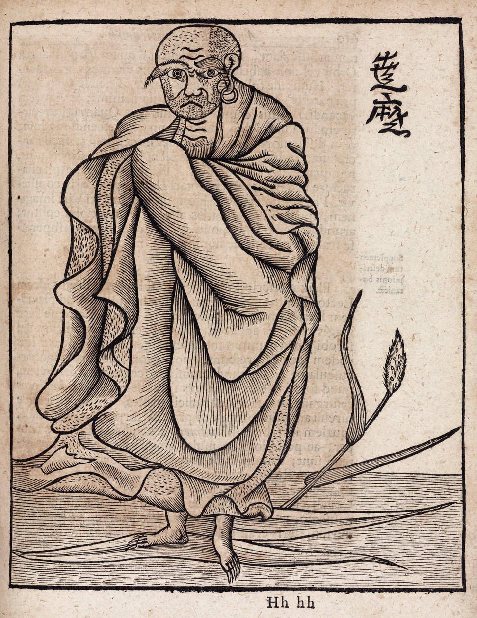 Bodhidharma dnia portretu (v autorstwa Unbekannt