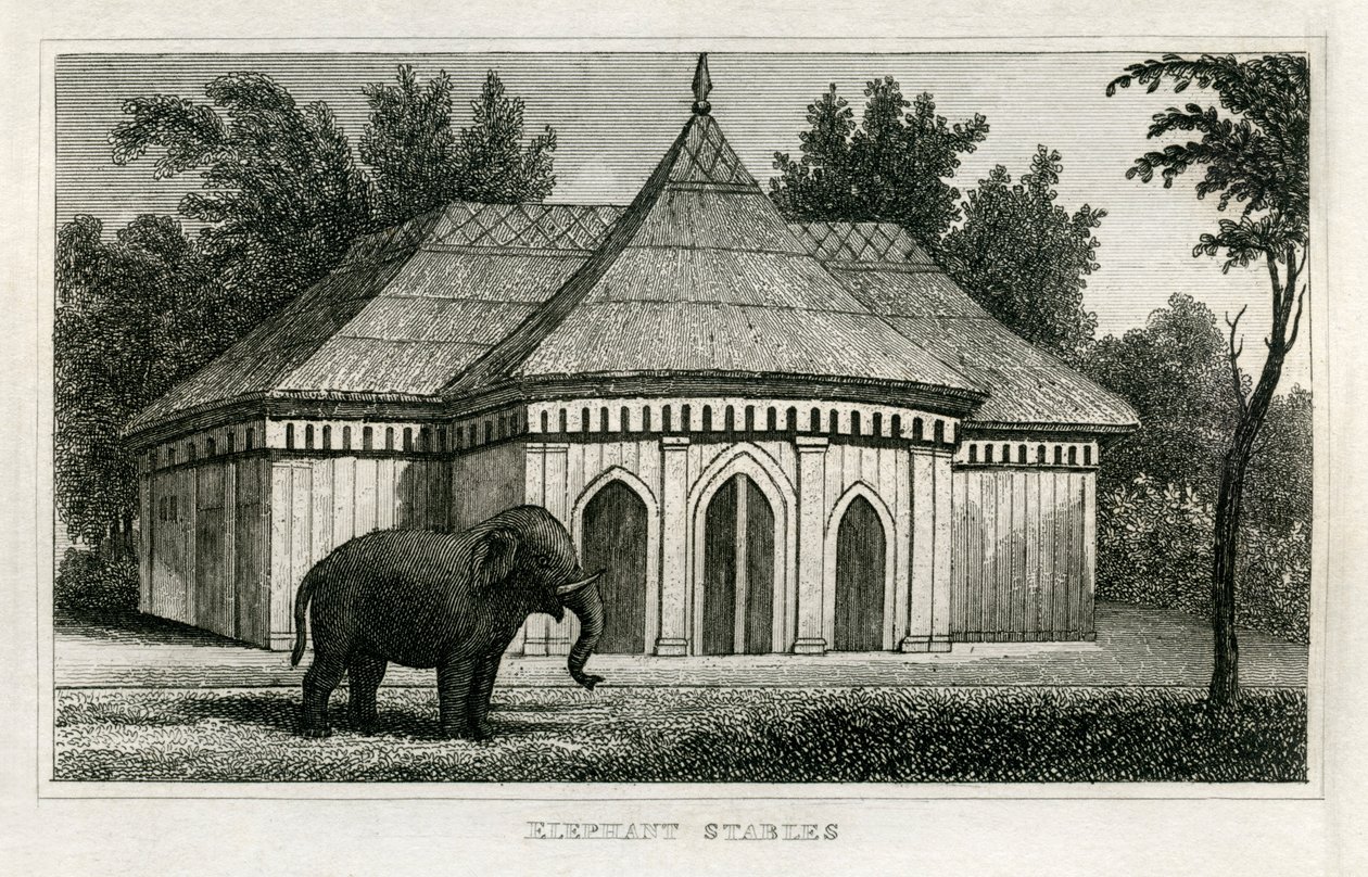 Ogród zoologiczny Regent