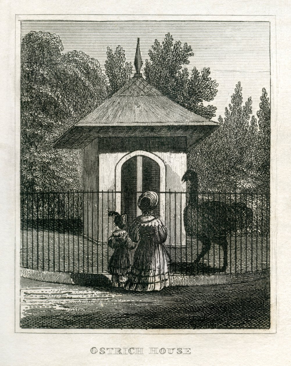 Ogród zoologiczny Regent