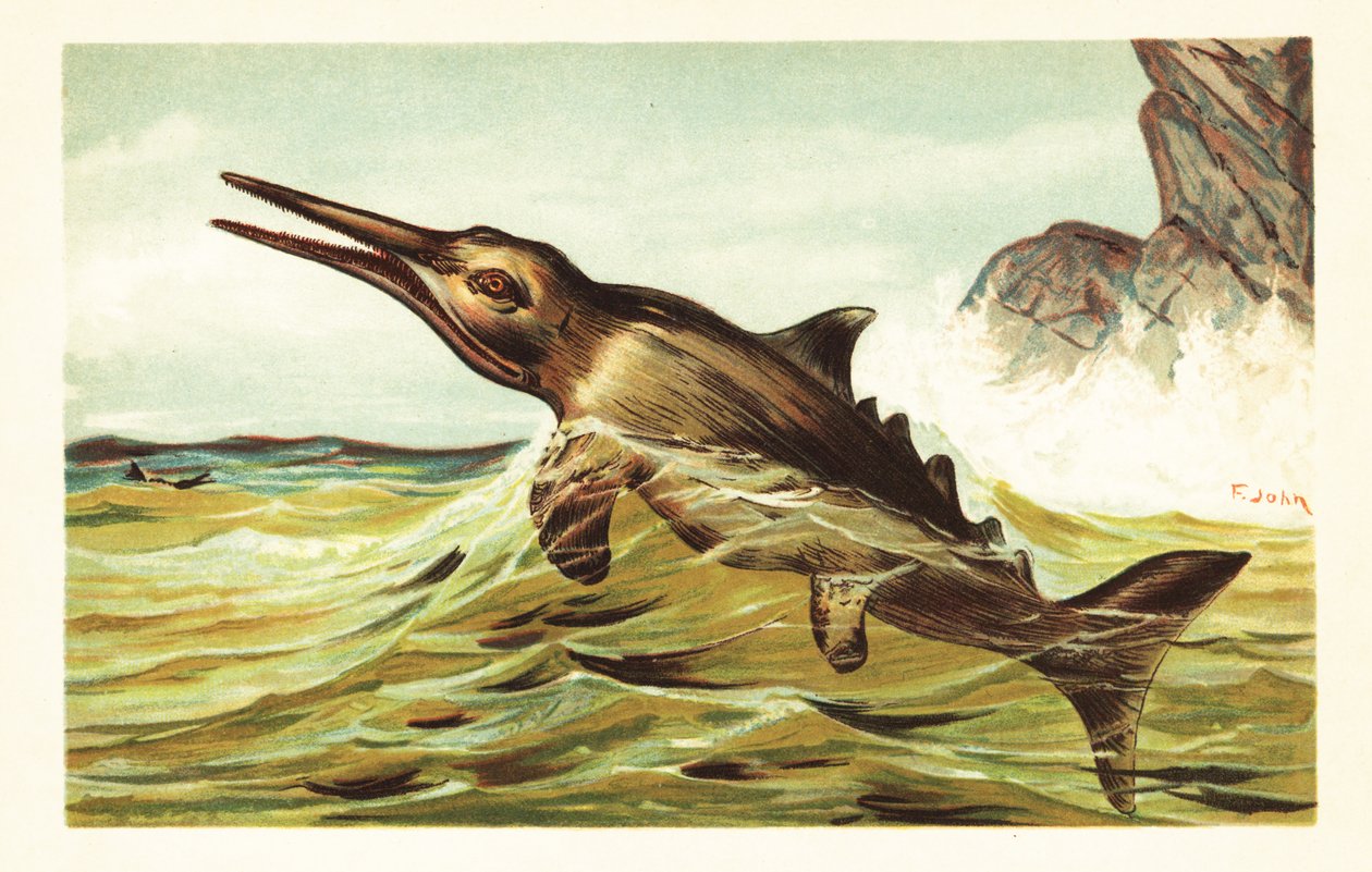 Stenopterygius quadriscissus, wymarły ichtiozaur.1908 (litografia) autorstwa Unbekannter Künstler