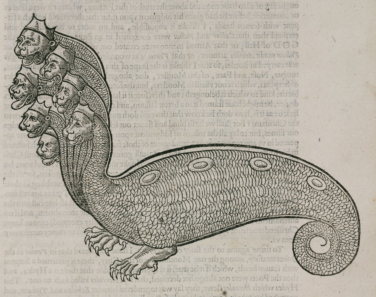 Hydra autorstwa Unbekannt